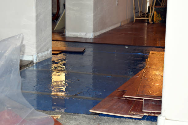 Professional Basement Flood Cleanup technician working in Seagrove, NC